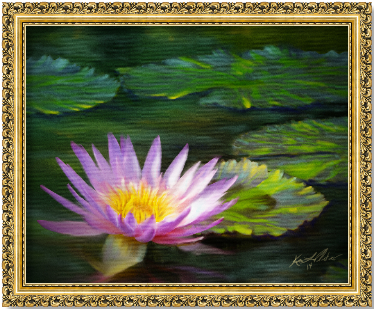 Water Lilies