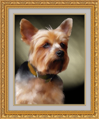 SkippyFeb2015.png