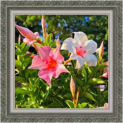 12x12flowers.jpg